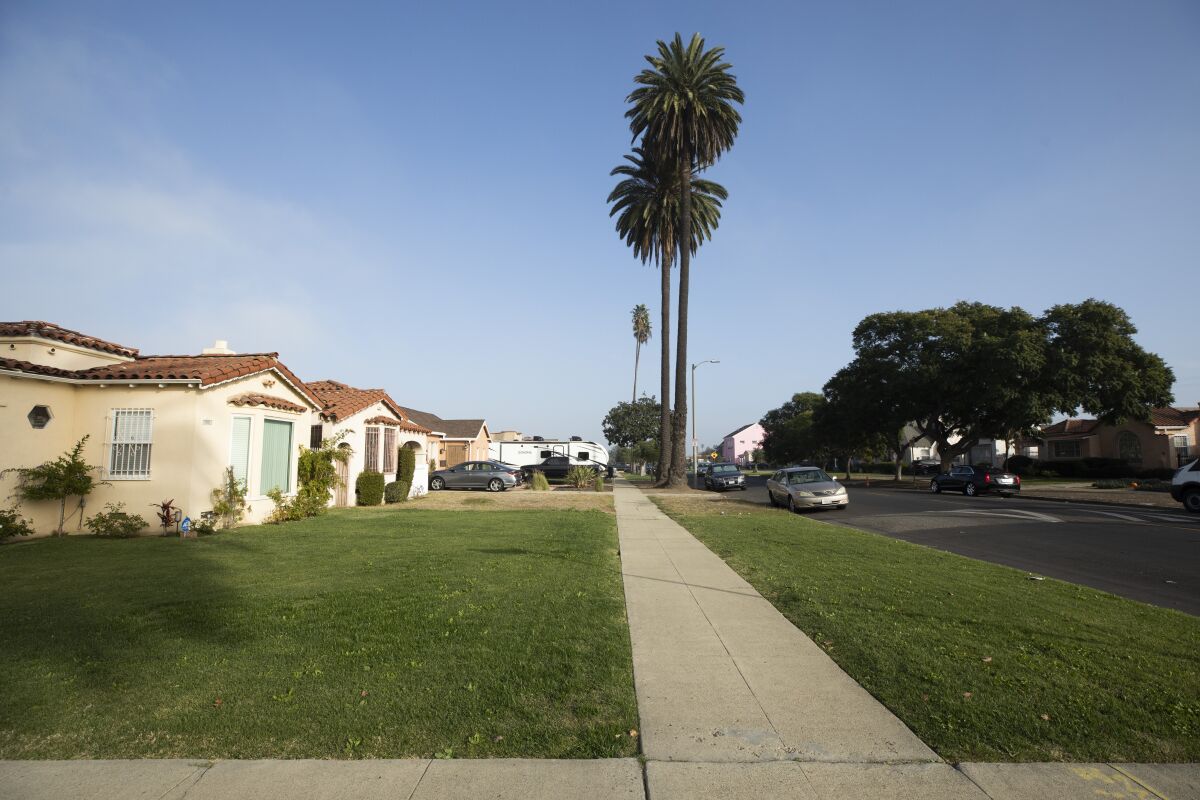 Lawns, sidewalk, palm trees on a street in a South Los Angeles neighborhood. 