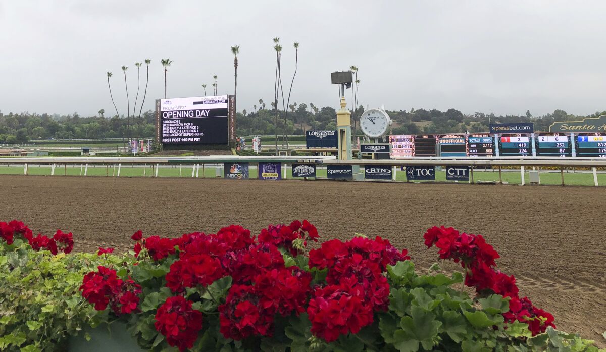 Flowers frame a new infield video board and the finish line at Santa Anita Park on Sept. 27, 2019.