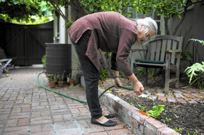 Annie Costanzo waters plants from a rain barrel in the yard at her Miracle Mile home.