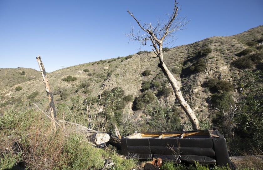 A ravine off La Tuna Canyon Road in Sunland.