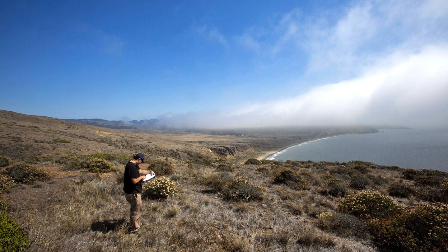 Torben Rick, curator of anthropology at the Smithsonian's National Museum of Natural History, surveys Santa Cruz Island.