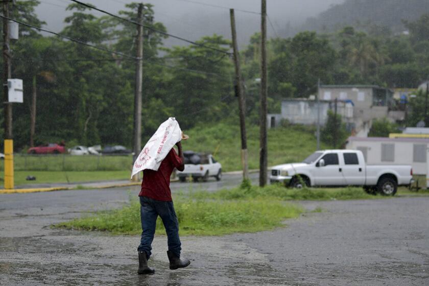 A man uses a flour bag to protect himself from the rain in Yabucoa, Puerto Rico, on Tuesday.