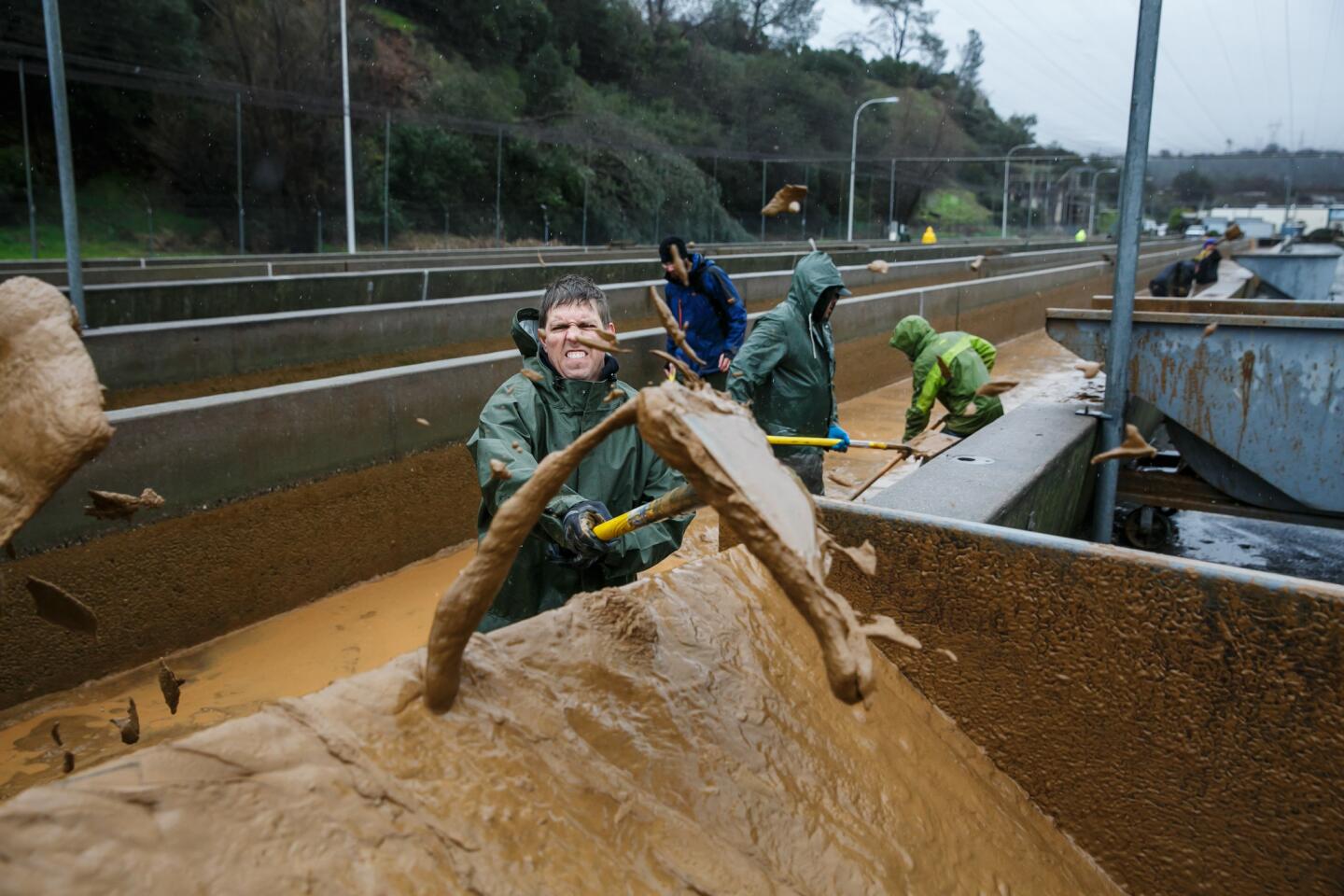 Kevin Anfinson and other volunteers help shovel the muddy sediment that has built up in the salmon raceway at the Feather River Fish Hatchery in Oroville.