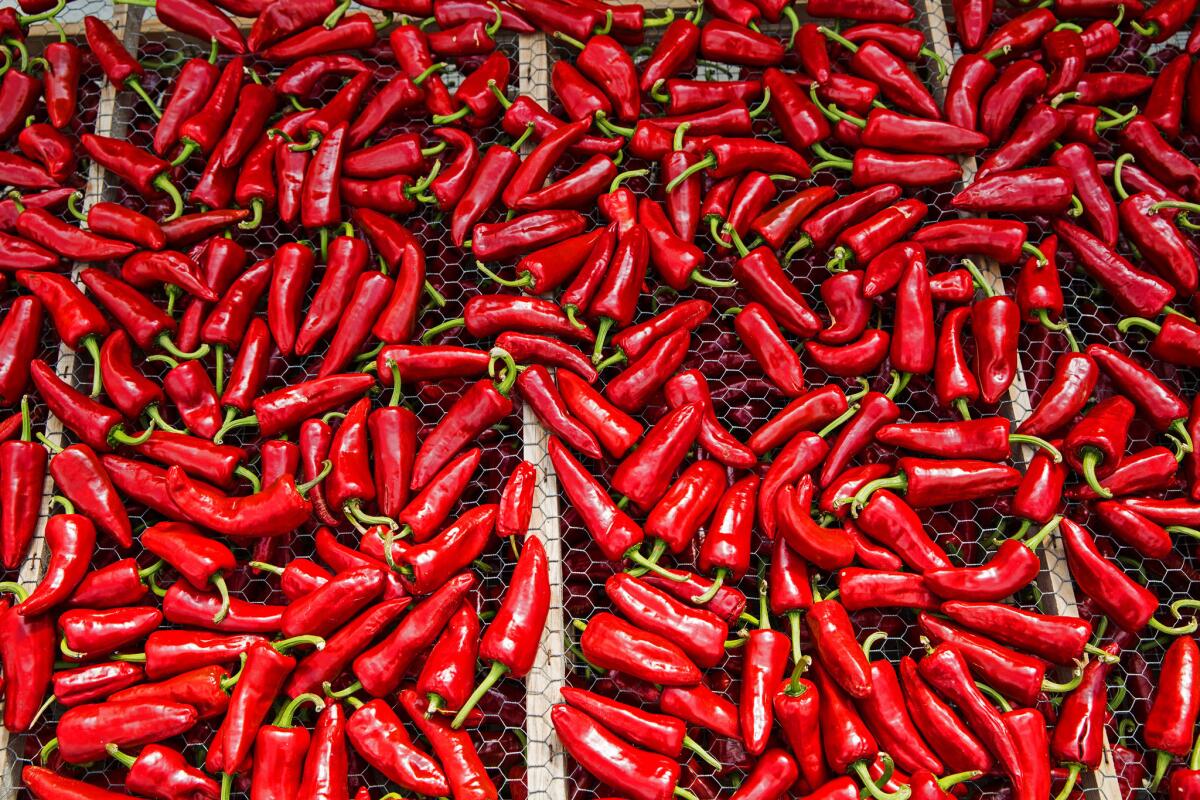 The famous Espelette pepper won AOC status (appellation d'origine controlee) in 1999. It's the only AOC pepper in the world and has been cultivated here for over 300 years.