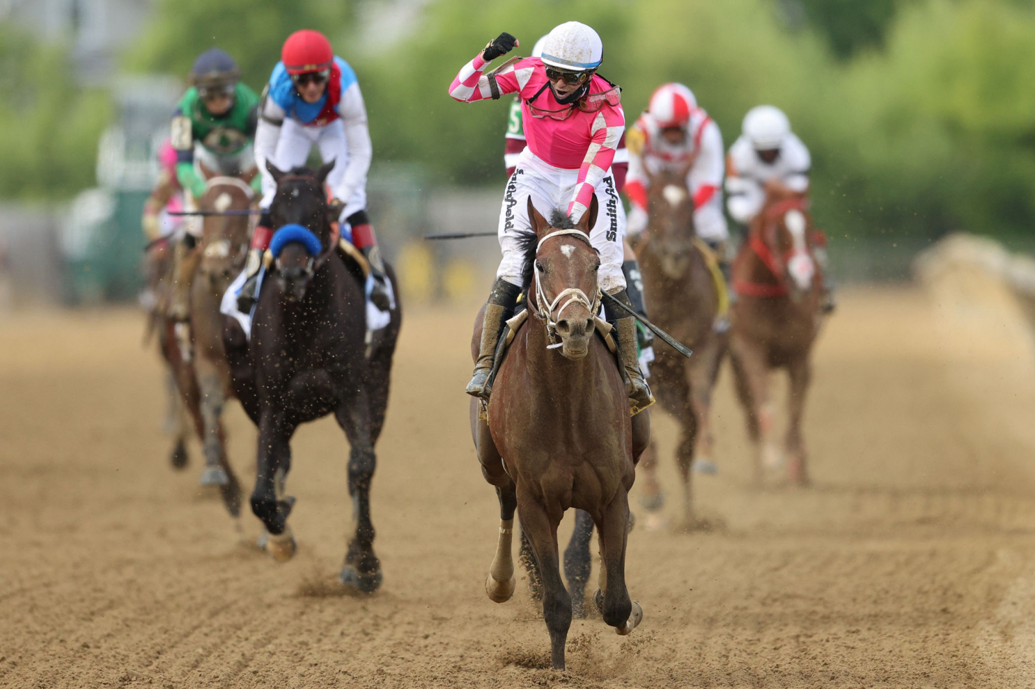 Winter Spectacular - Maryland Jockey Club