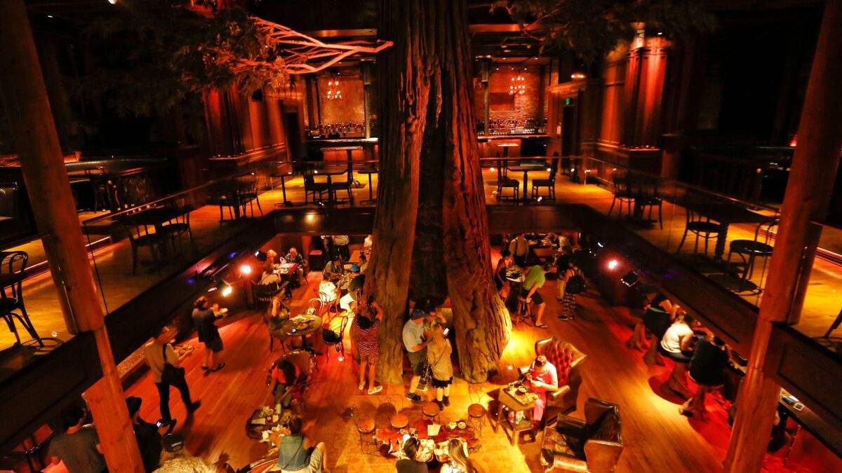 A simulated giant redwood tree on display inside the monarch bar at Clifton's Cafeteria on Broadway in downtown Los Angeles. (Mel Melcon / Los Angeles Times)