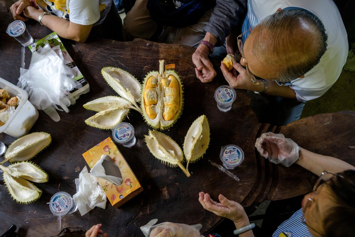 A group of tourists from Hong Kong feast on a Musang King durian on their annual trip to Malaysia to eat durians at Durian Kaki, a roadside fruit stall owned by Tan Eow Chong and his family in Bayan Lepas, Malaysia.