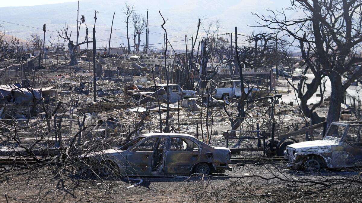 Burned homes, cars and trees in Lahaina, Hawaii.
