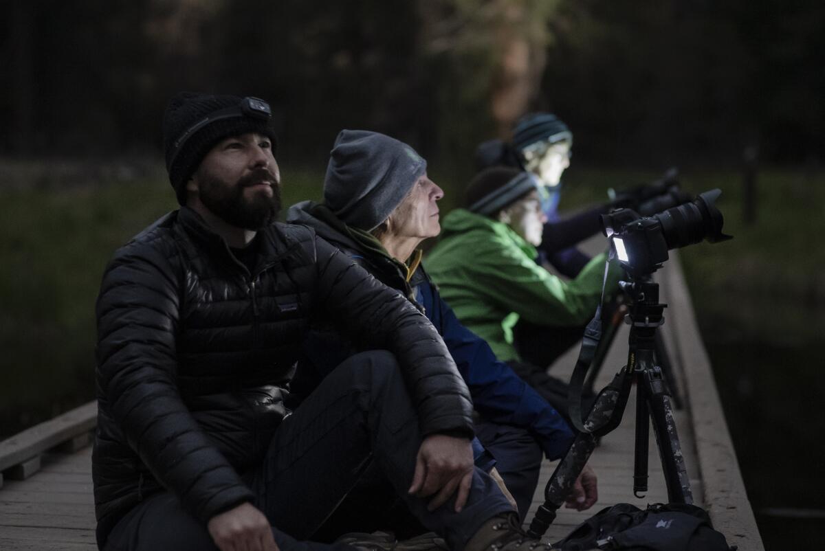 People sitting with cameras, looking for moonbows in Yosemite.