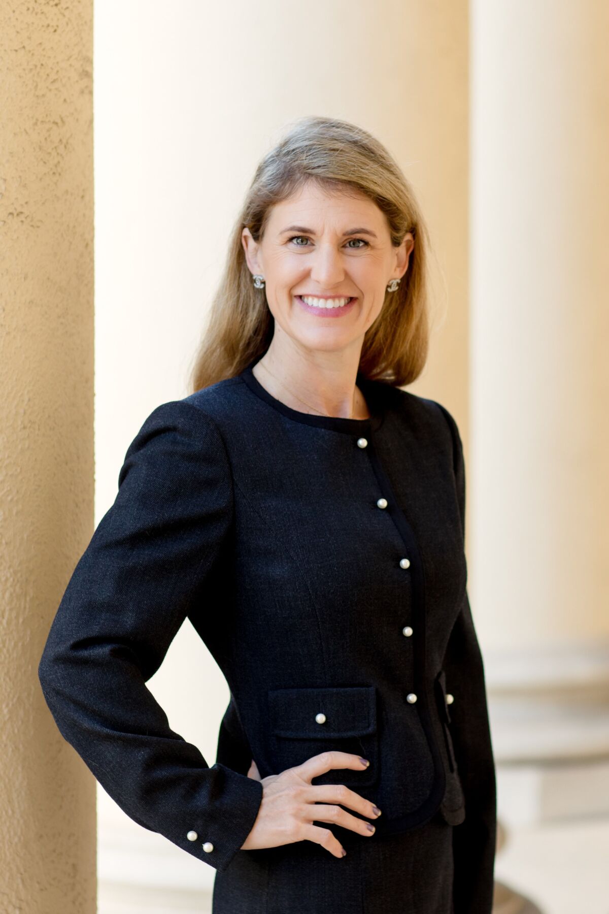 Michelle Ialeggio, Judicial Candidate, Seat 36.