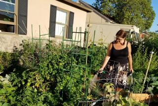 Christine Cooke needed something to occupy her time after her job ended in March. She found solace in her garden.