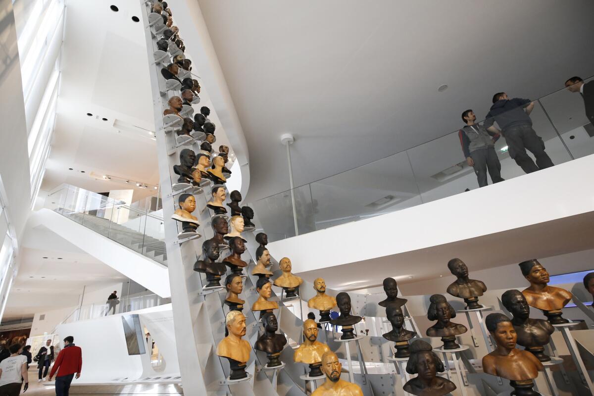 Man busts are on display during a press preview of the Musee de l'Homme (Museum of Mankind) in Paris.