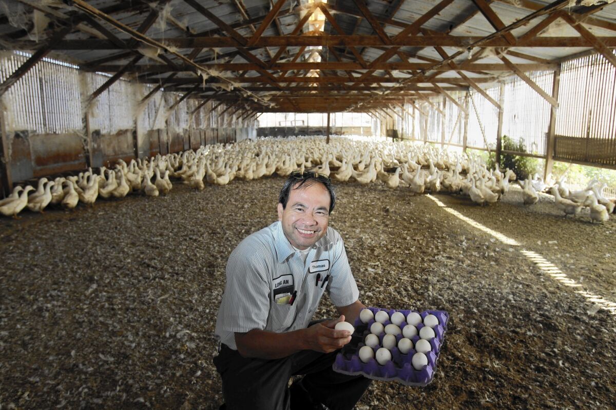 Thomas Chin Dam, a Vietnamese immigrant and owner of Ramona Duck Farm, has built a modest empire on a simple street food.
