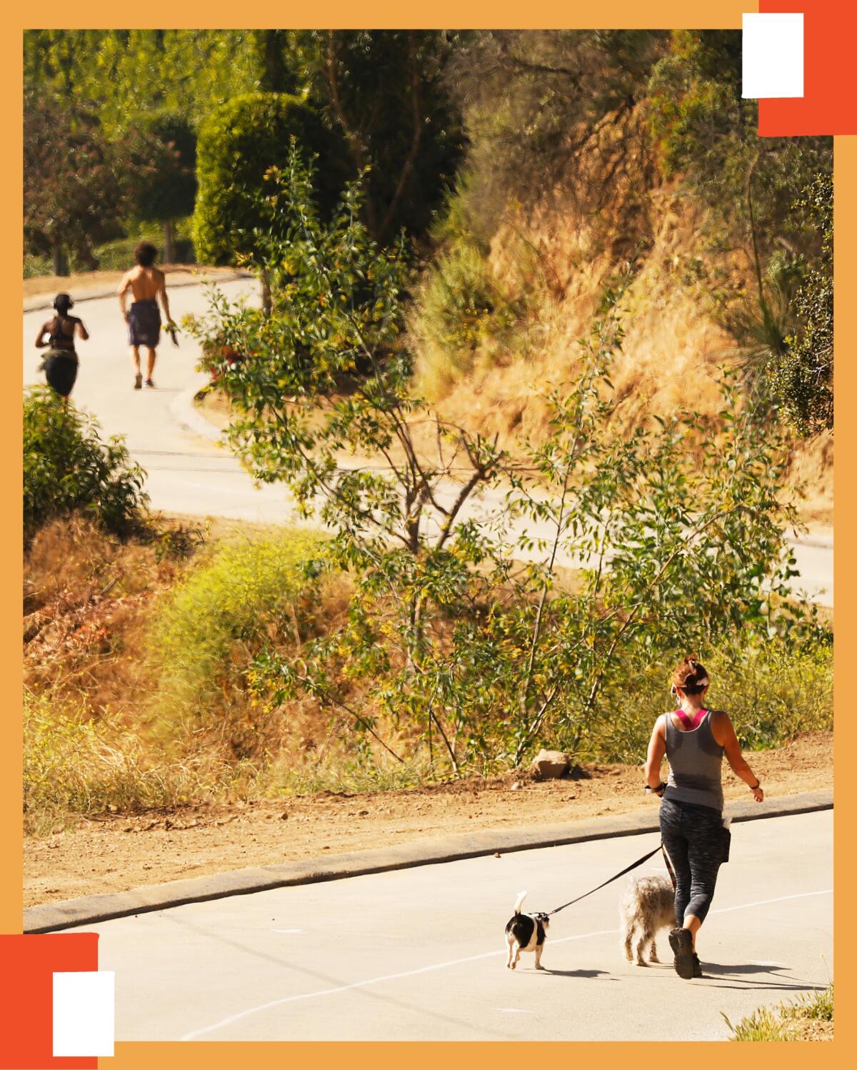 Photo of hikers enjoying Runyon Canyon Park on Mulholland Drive.