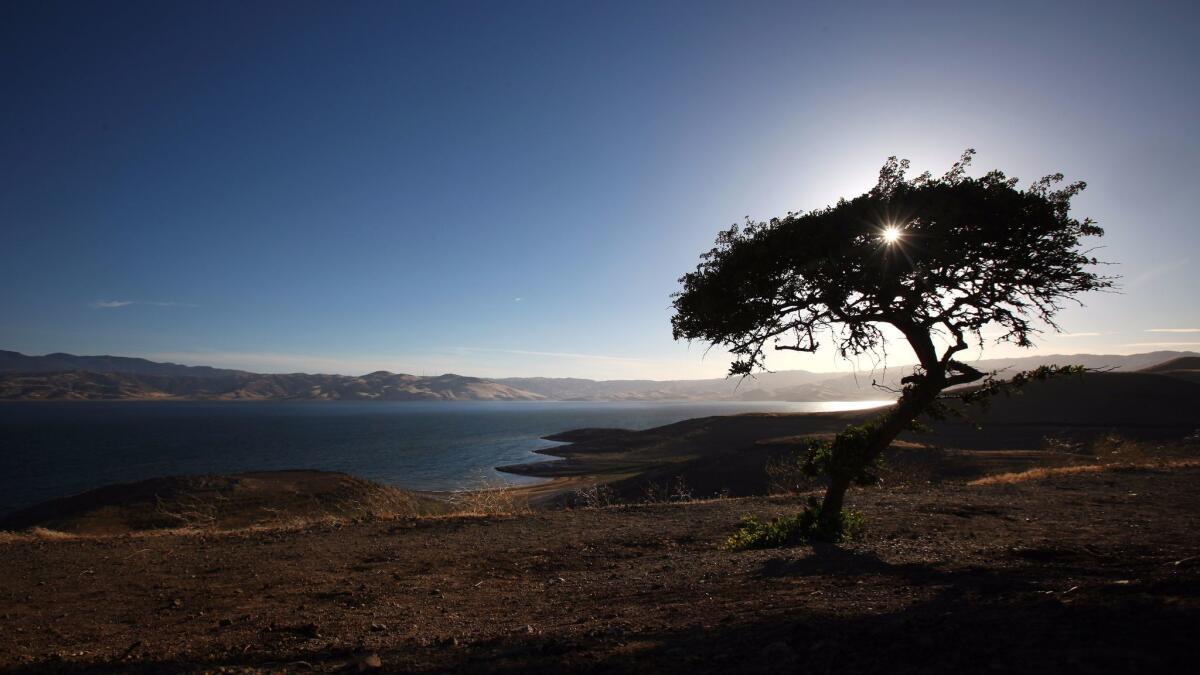 The San Luis Reservoir near Los Banos supplies the Westlands Water District with irrigation deliveries pumped from the Sacramento-San Joaquin Delta.