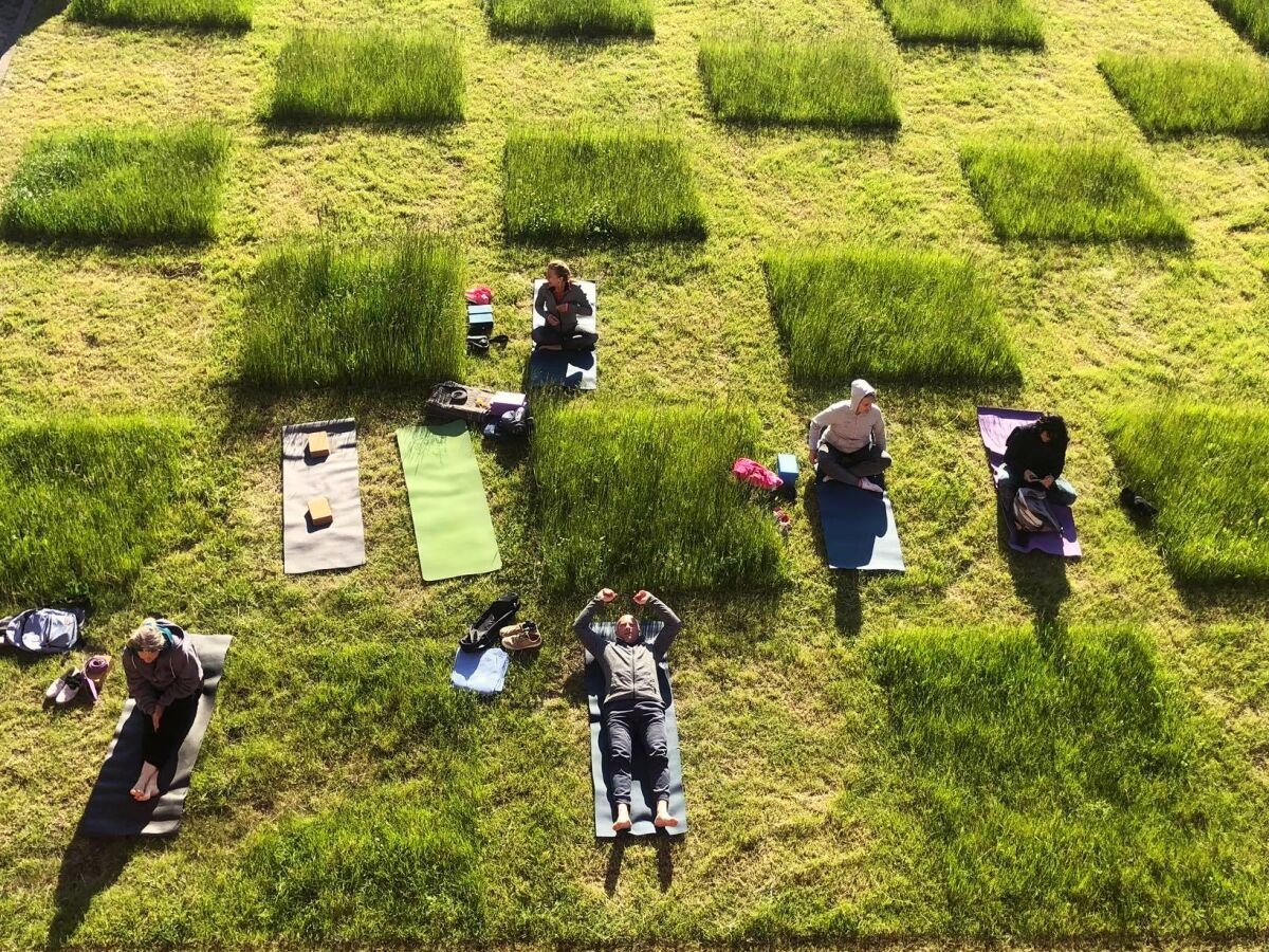 An overhead image shows grass mowed into a checkboard pattern to delineate social distancing