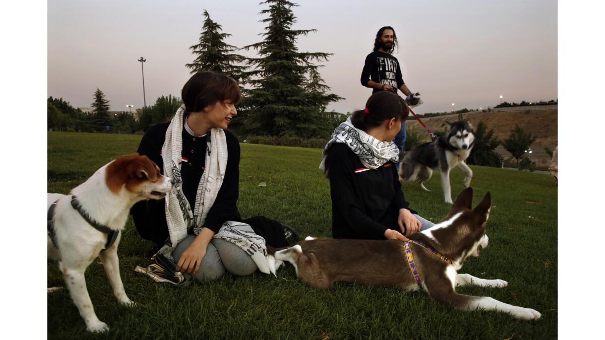Twins Setayesh, left, and Sogand Ghadimi, 16, with their dogs, Hagen and Russell. In the background is Hashim Mahmoud with his husky, Jessica.