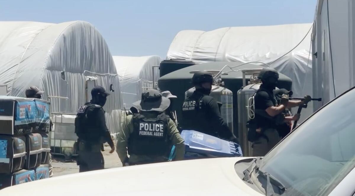 National Guard troops deployed to L.A. were sent to Riverside County marijuana farm raid - Los Angeles Times