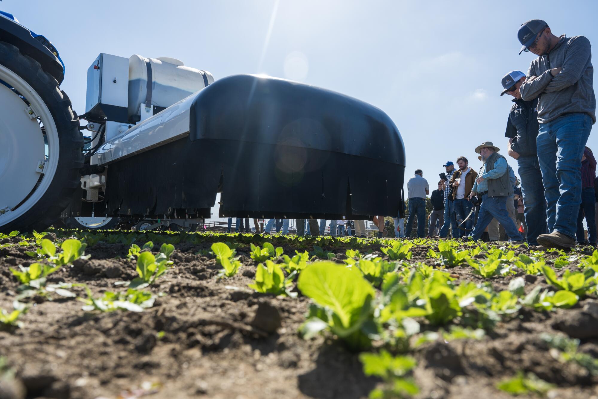 Farmers study a mechanical weed control device in a field.