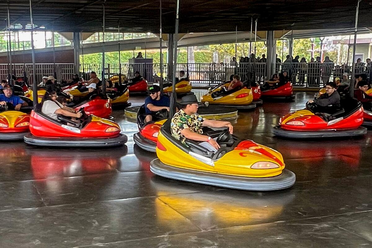 A view of Wheeler Dealer Bumper Cars.