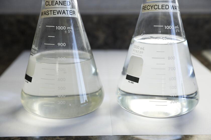LOS ANGELES-CA-JUNE 30, 2022: A cleaned wastewater sample, left, and a purified recycled water sample, right, are photographed at Metropolitan Water District's pilot water recycling facility in Carson is photographed on Thursday, June 30, 2022. (Christina House / Los Angeles Times)