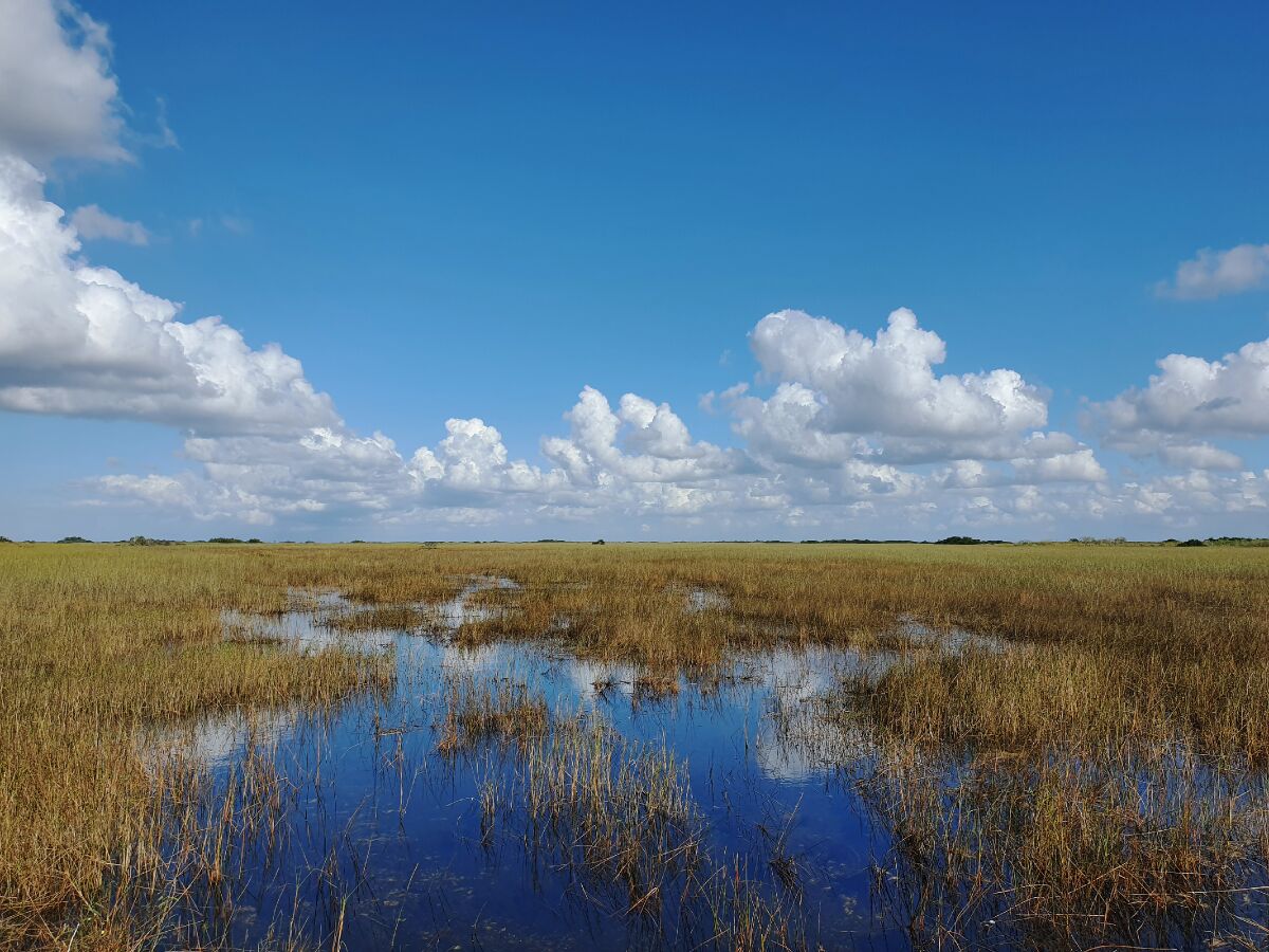 Clouds are reflected in the marsh water and sea grass grows in a Florida preserve.
