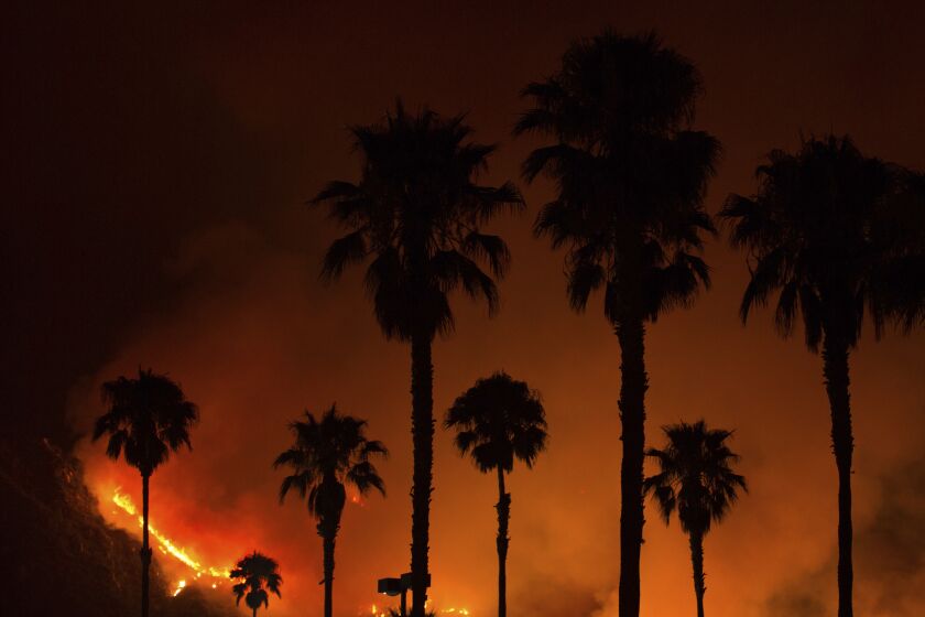 FILE - The Holy Fire burns in the Cleveland National Forest on Thursday night, Aug. 9, 2018, in Lake Elsinore, Calif. A man has been acquitted of intentionally setting a fire that spread over 36 square miles and burned more than a dozen cabins in Southern California canyons five years ago. A jury on Thursday, June 1, 2023, found Forrest Clark not guilty of arson. (AP Photo/Patrick Record, File)