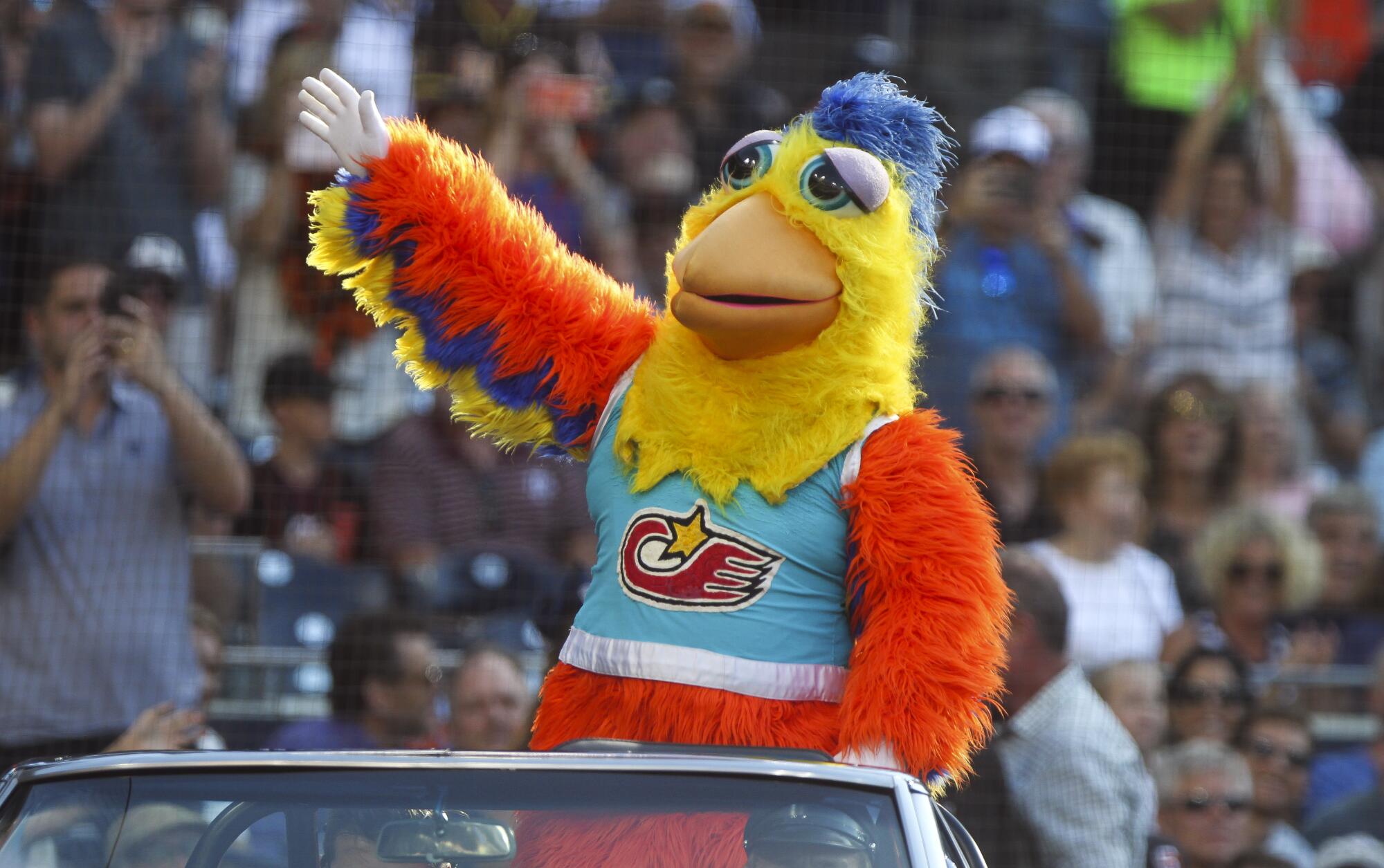 The Chicken waves to the crowd as he arrives on the field by car for a 2019 Petco Park appearance.