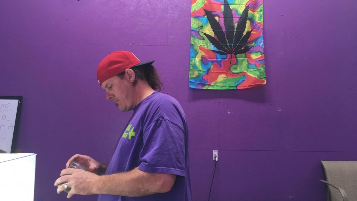 Thomas Grier works as a "bud tender" at Canna Can Help Inc., a medical marijuana dispensary in Goshen, Calif.