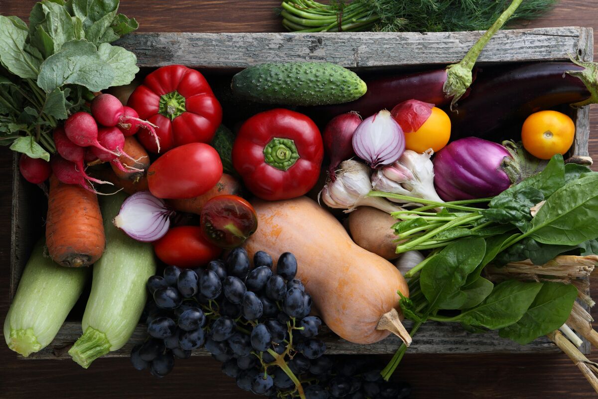 stock image for San Diego county farms and ranches — CSA boxes, etc. Harvest of veggies in wood box top view, autumn food