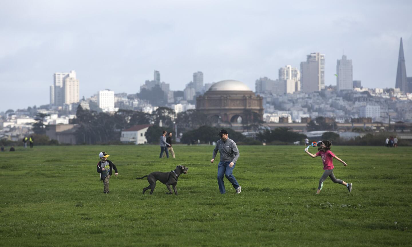 Crissy Field, Golden Gate National Recreational Area