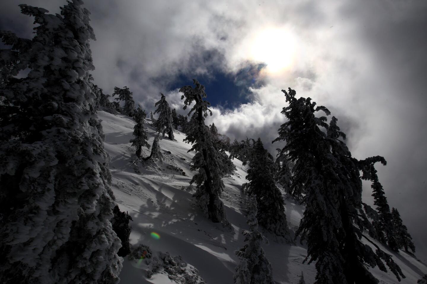 Snow in Southern California