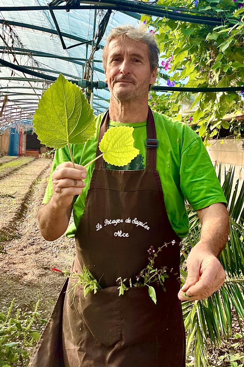 Pierre Magnani gives a garden tour of Le Potager de Saquier in Nice, France, before Rosa Jackson's cooking class. 12 Oct 23