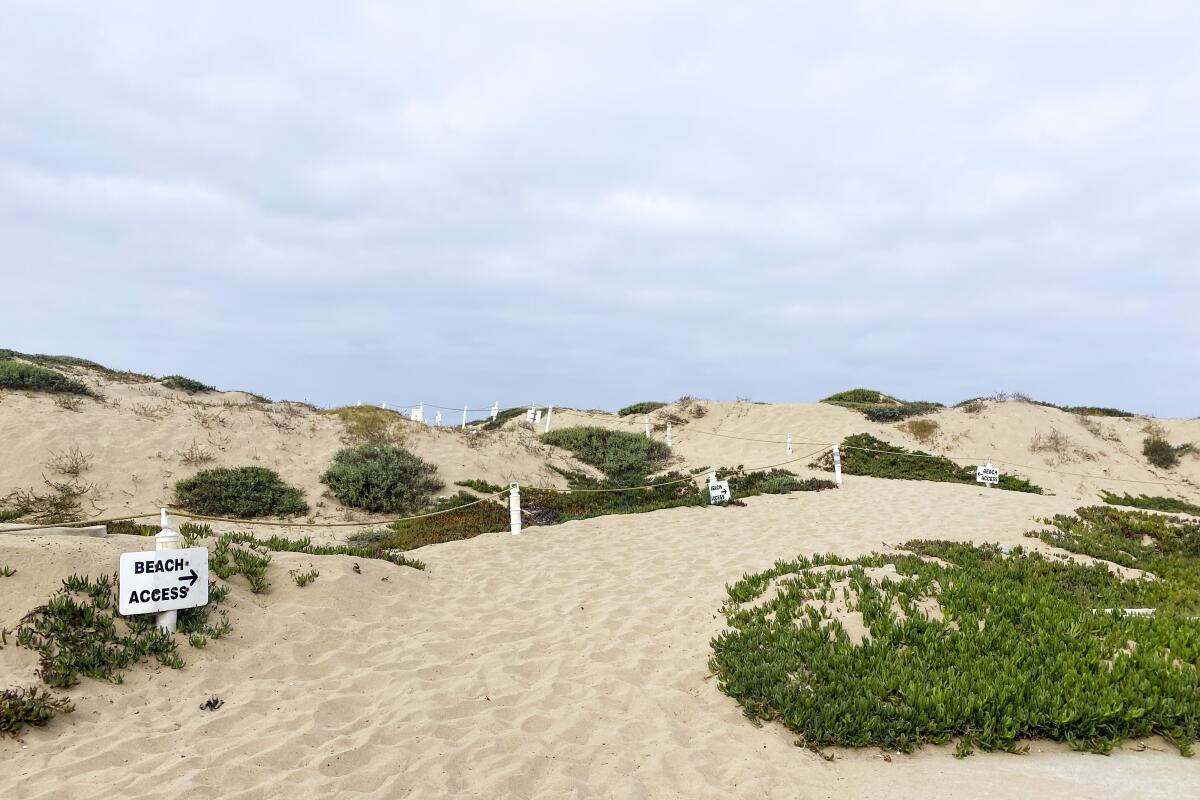 The beach running path in Playa del Rey.