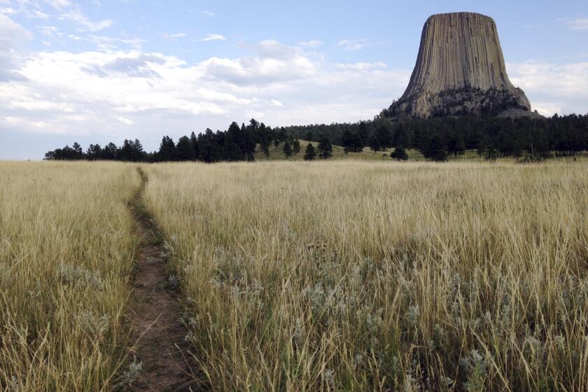 This July 29, 2017 photo shows Devils Tower in northeastern Wyoming. (AP Photo/Susan Montoya Bryan, File)