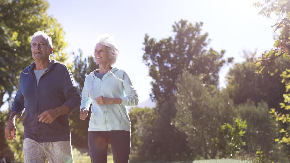 Health habits that keep your cardiovascular system in good shape -- such as getting regular exercise -- were also associated with a reduced risk of dementia in senior citizens, new research shows.