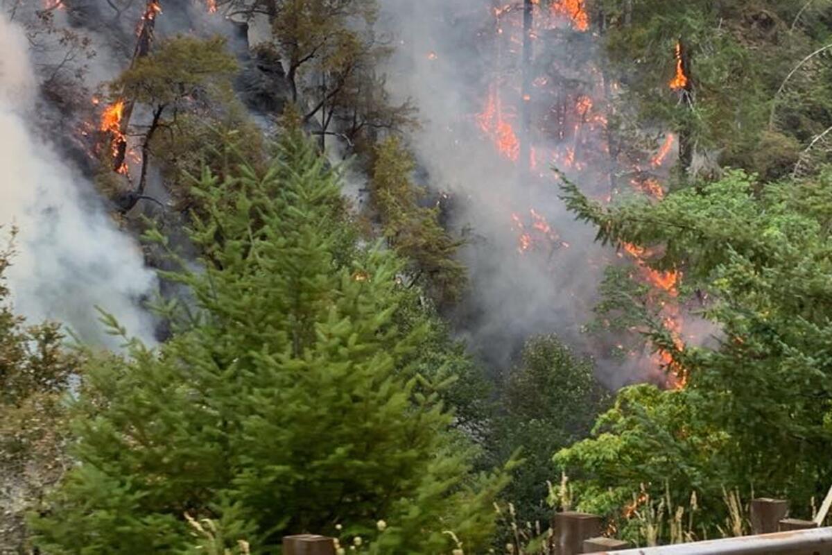 Flames burn and smoke rises in a forested area