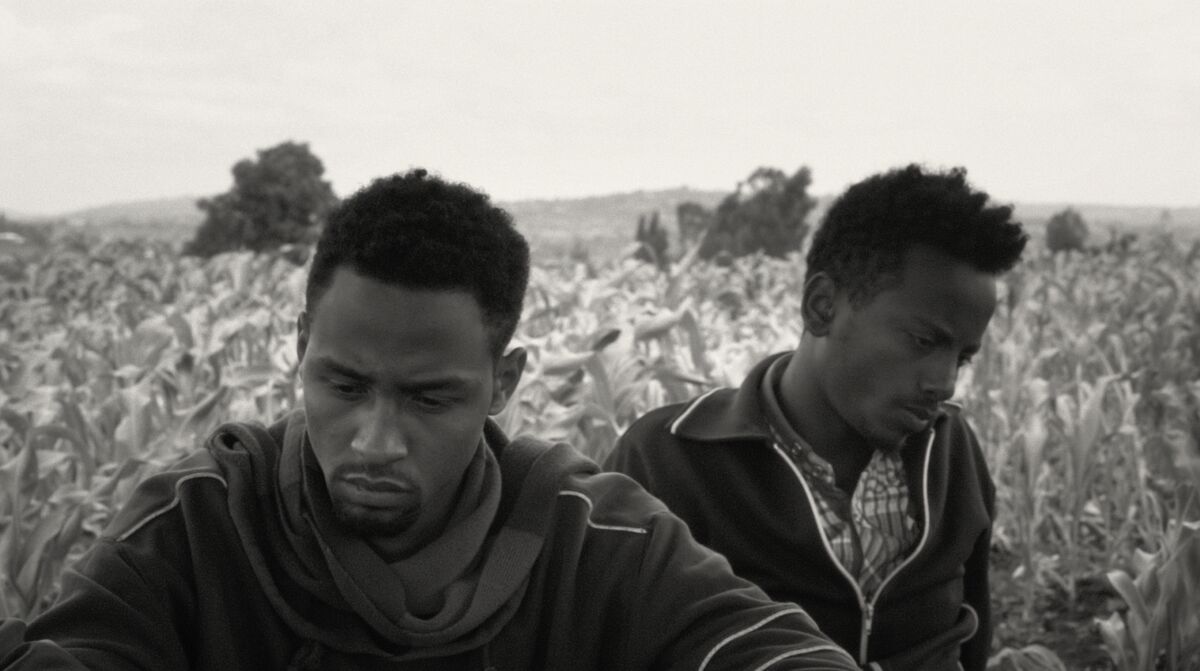 Two young men in a field in the documentary “Faya Dayi.”