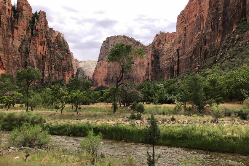 ZION NATIONAL PARK, UTAH AUGUST 5, 2019 -- The Virgin River winds through the red rock canyon walls near the Temple of Sinawava inside Zion National Park in Utah. (Marc Martin / Los Angeles Times)