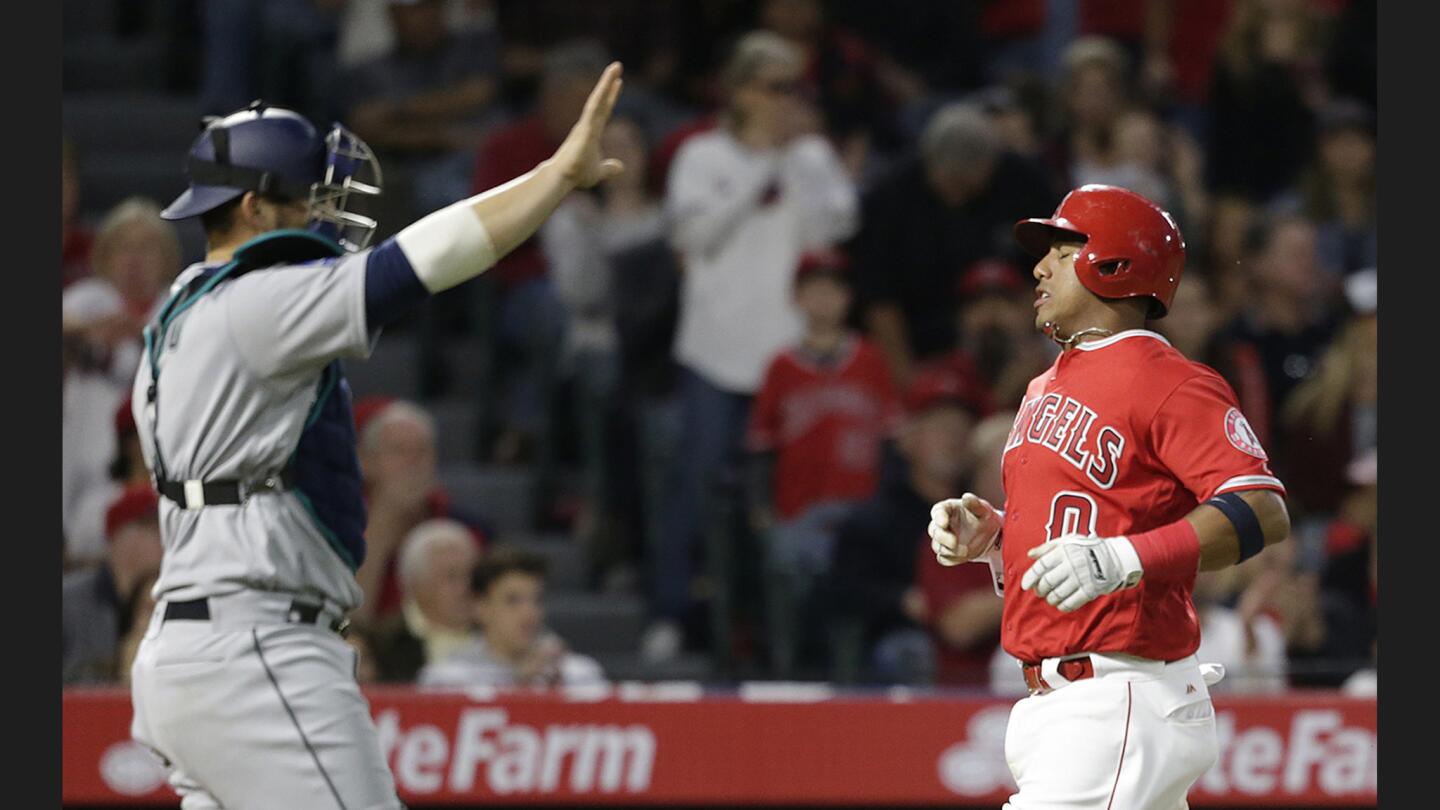 Angels third baseman Yunel Escobar scores the first run of the game on a sacrifice fly by center fielder Mike Trout during the first inning of a game against the Mariners on April 7.