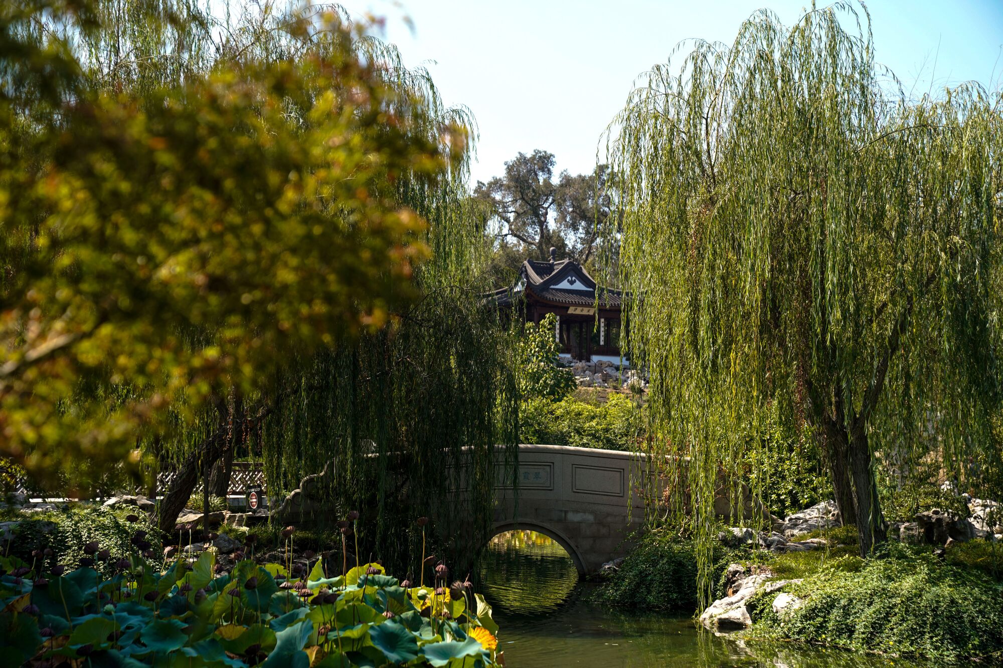 The Stargazing Tower in the Huntington's Chinese Garden. 