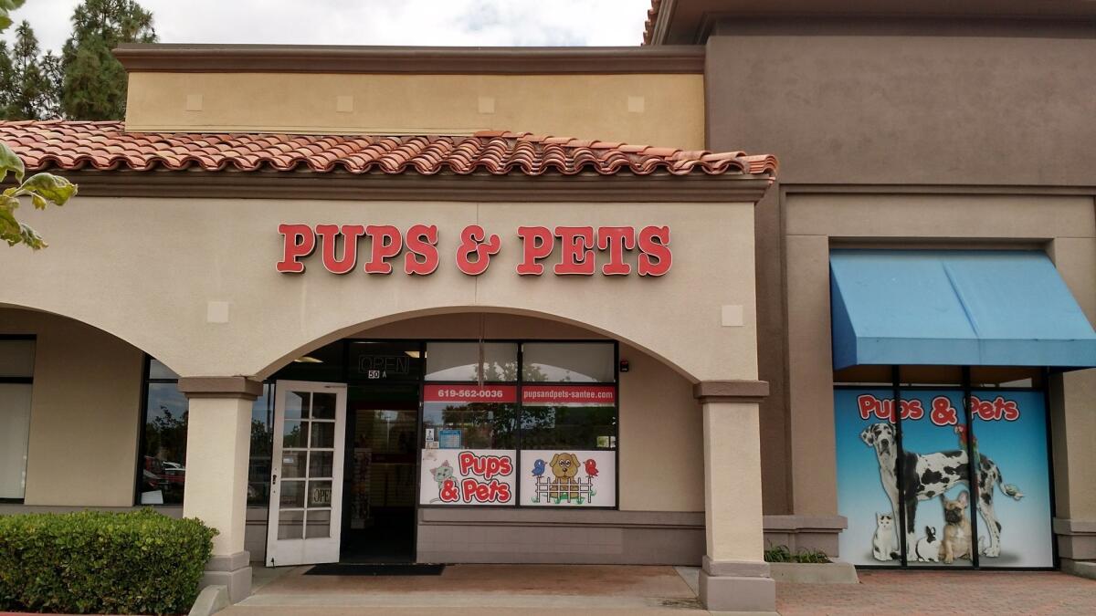 Pups & Pets is the lone pet store in Santee. Animal activists concerned about puppy mills have been picketing the store since 2011. Over the weekend, the store and another pet store in Escondido were cited by the San Diego Humane Society for not following state guidelines for adoptable puppies.