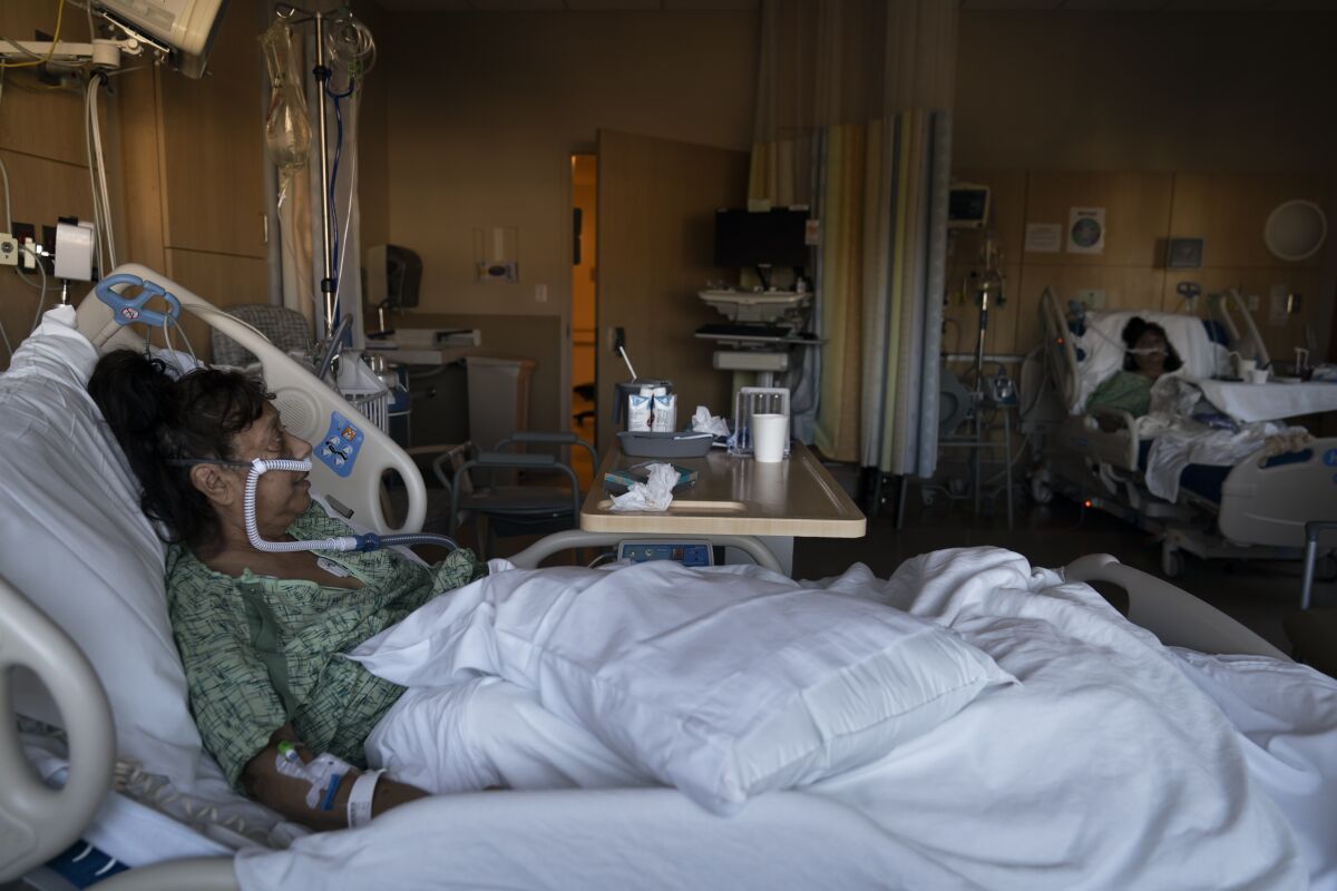 Patients in beds in a COVID-19 unit at Providence Holy Cross Medical Center in Los Angeles on Friday,