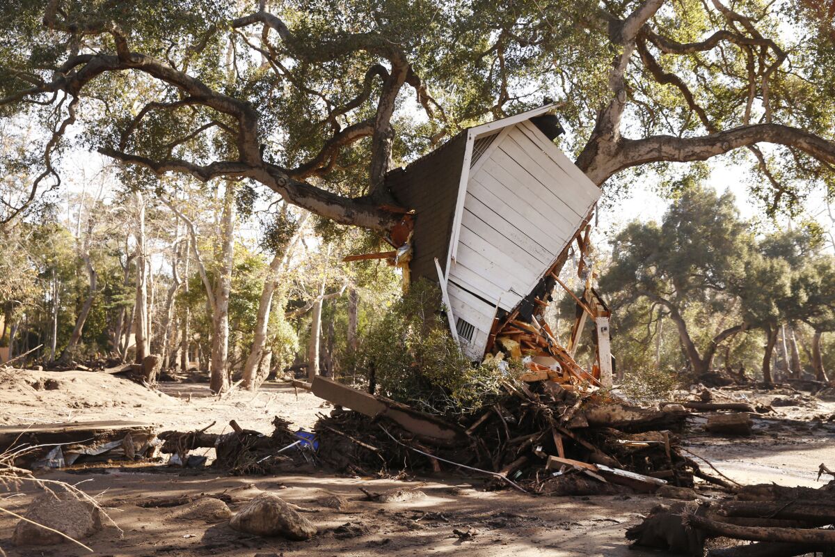 A structure sits in a tree in Montecito during the deadly mudslide of January 2018.