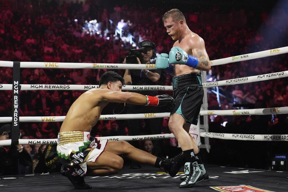 Canelo lvarez knocks down Jaime Munguia in the fourth round on Saturday.