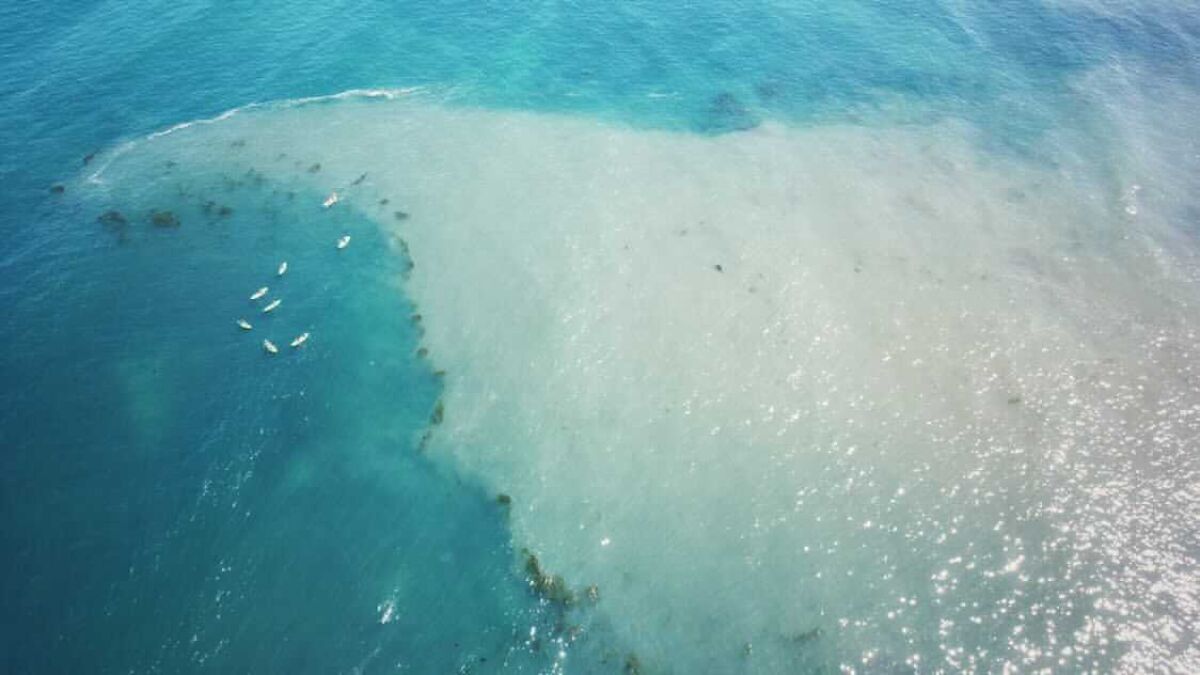 Murky water off La Jolla Shores has raised concerns among residents, but experts believe it is a natural occurrence.