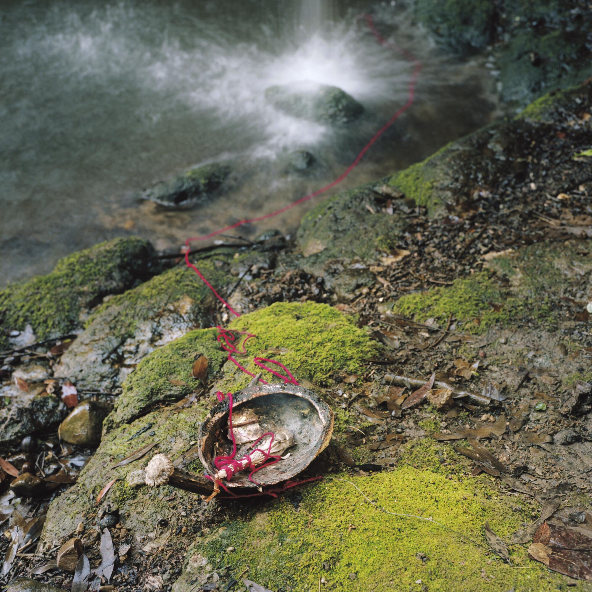 A color photograph shows an abalone shell bearing a sage bundle, connecting to a red thread that dips down into water.
