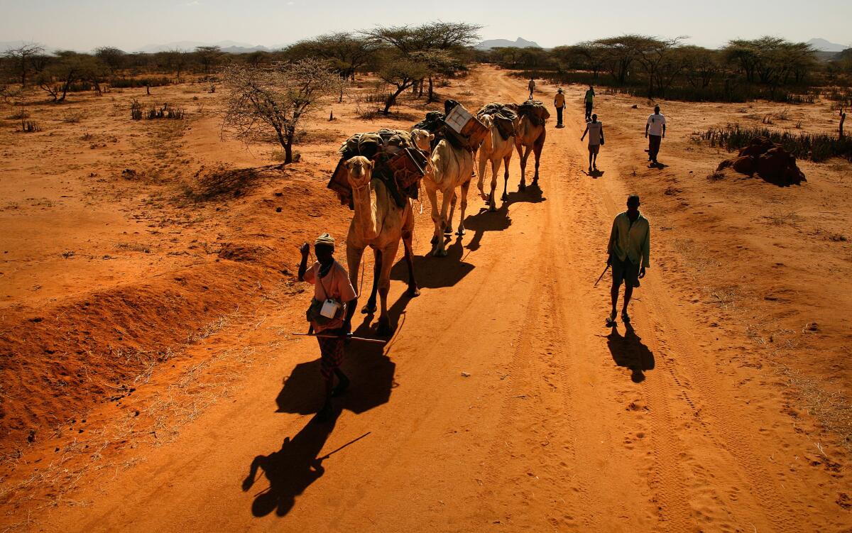 A mobile birth control clinic travels via camels in northern Kenya