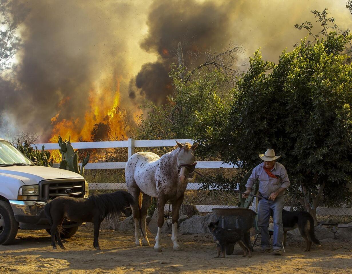 Top Photos: June 20, 2016