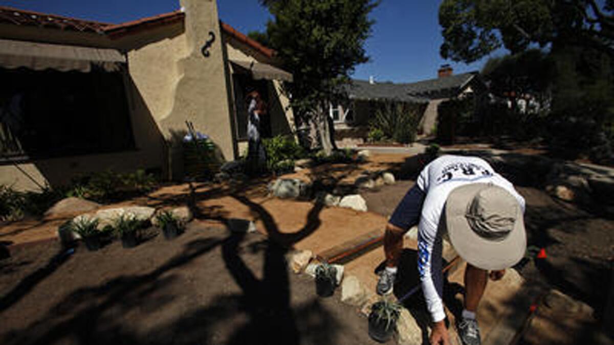 After removing his lawn, homeowner Brian Dines places drought-resistant plants in the frontyard of his Long Beach home.
